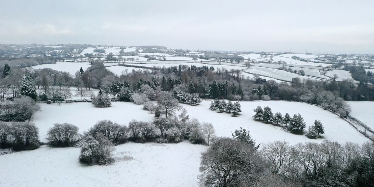 UKHSA issues cold warning as -8C chill to bite Britain and snow to bring travel chaos