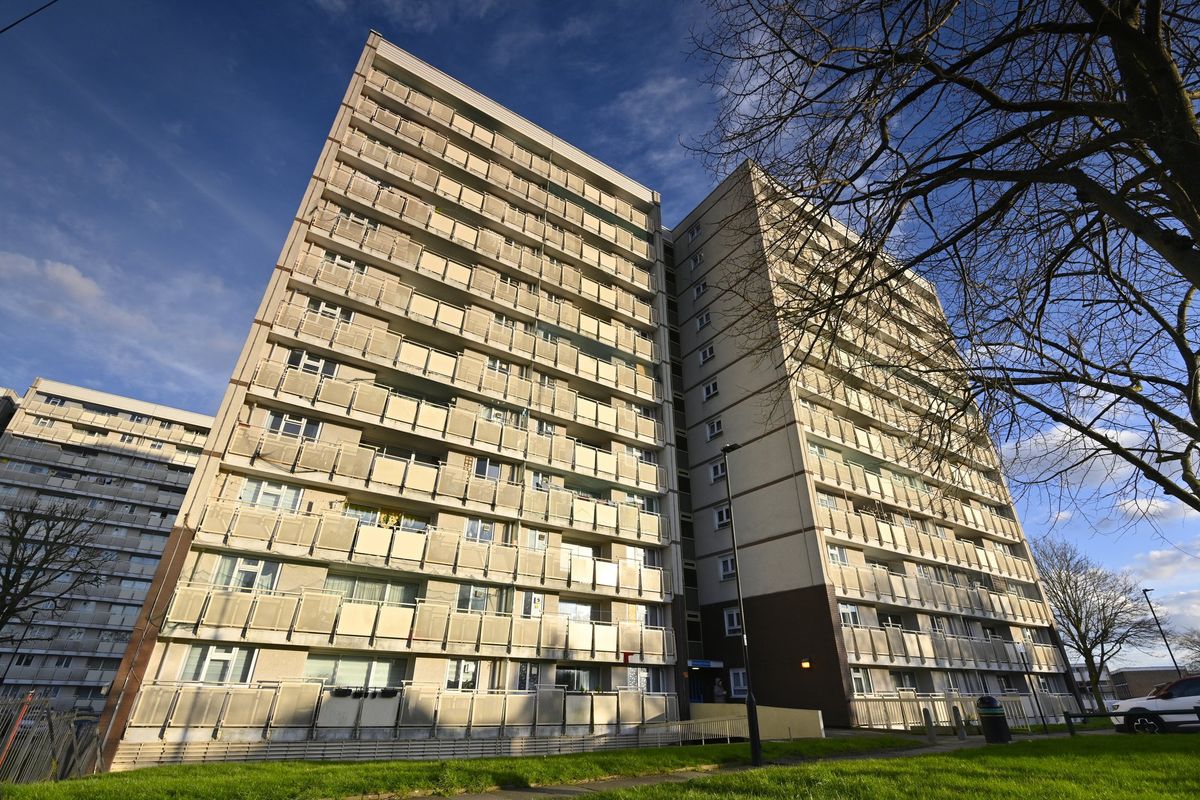 Social council houses