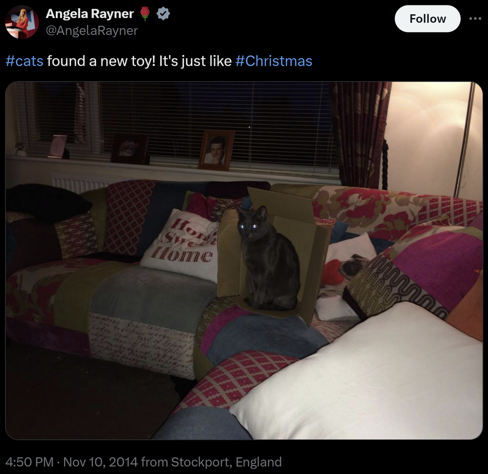 Social media posts showed Rayner in the home
