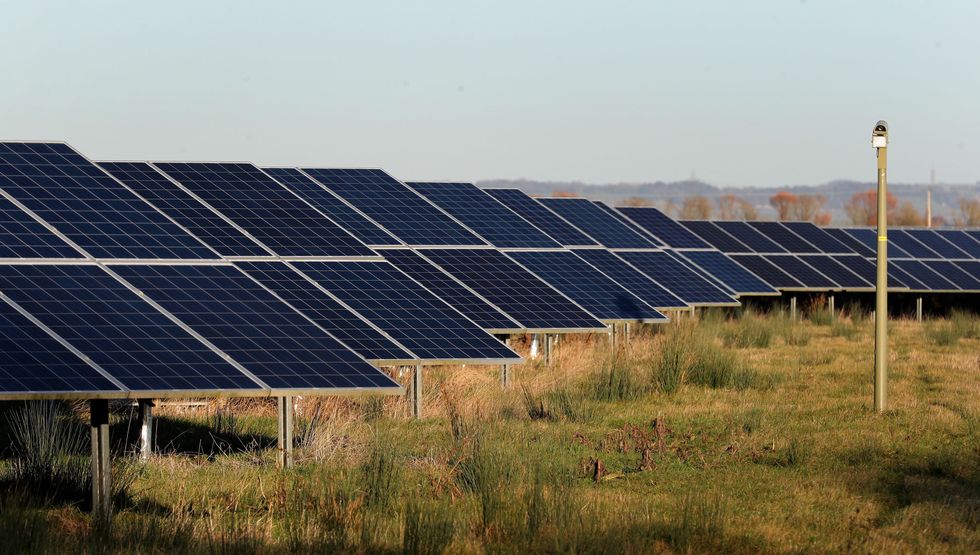 Solar panels in field