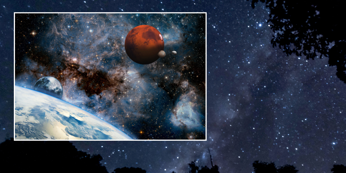NextImg:Space breakthrough as scientists discover four 'Earth-like planets' near 'cosmic neighbour'