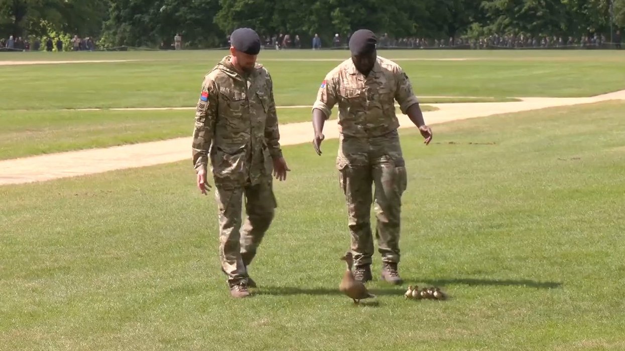 Soldiers
