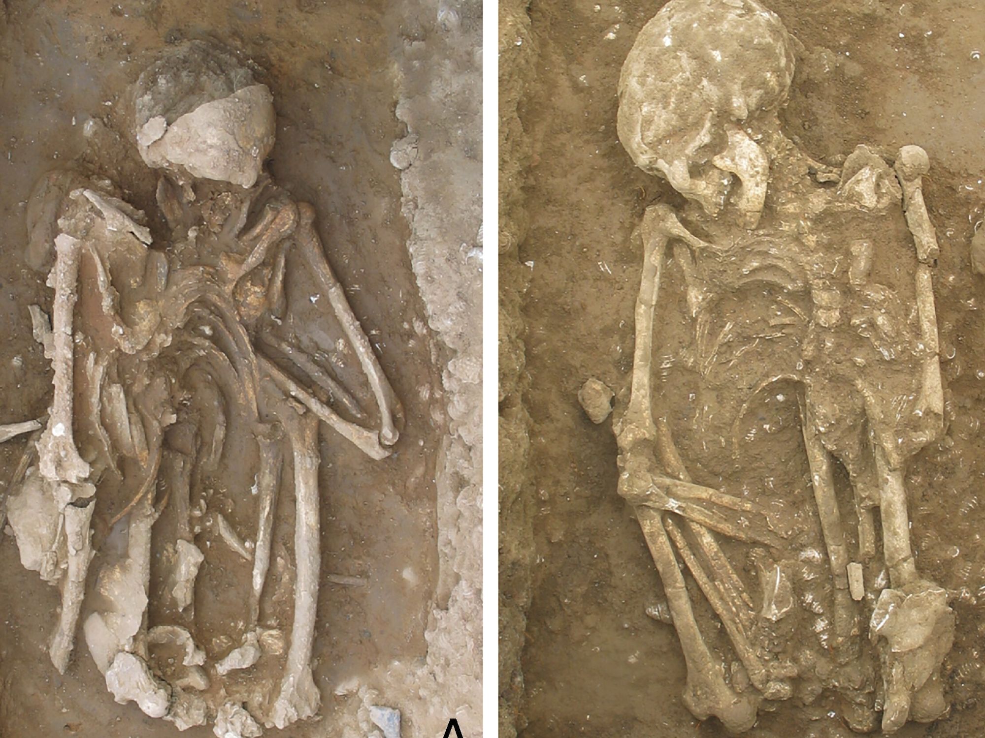 Some of the burials which have been uncovered