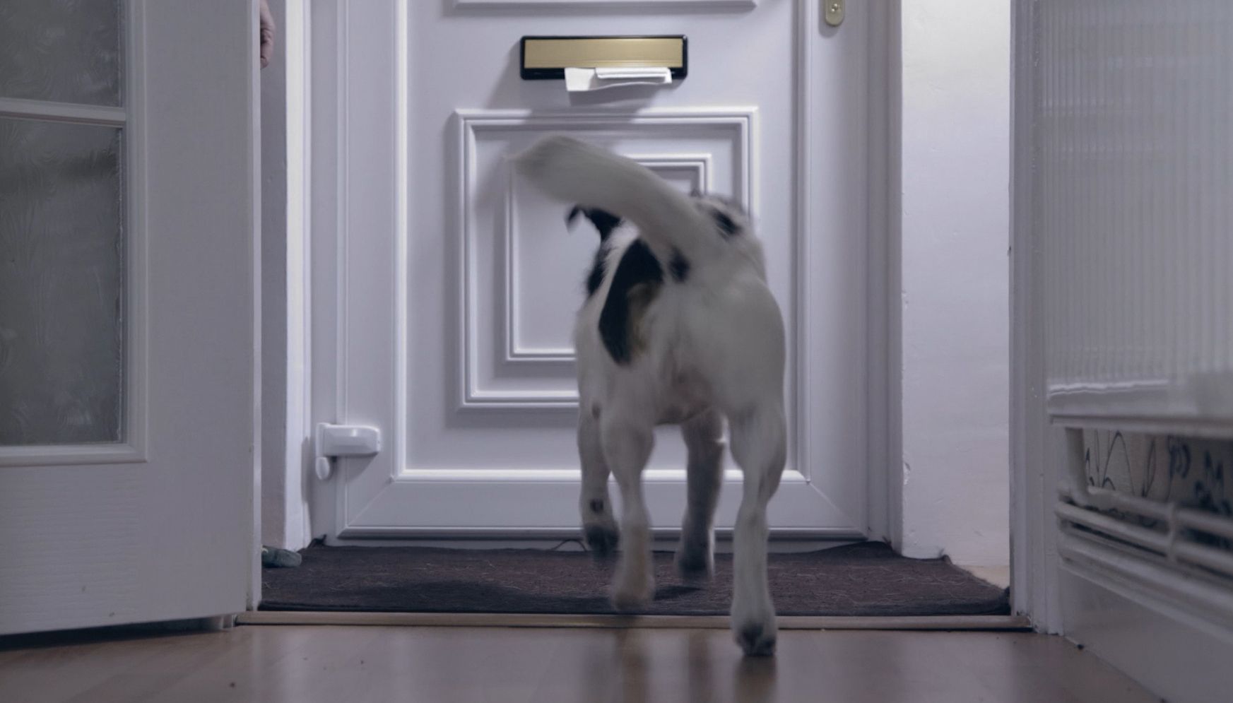 Some postal workers have been left with permanent and disabling injuries from dog attacks, with than 1,600 incidents reported in the last year.