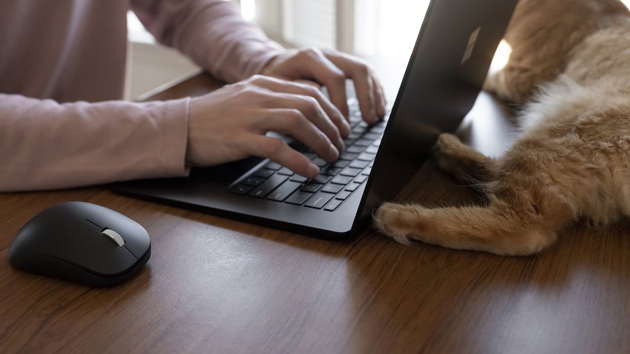 someone sitting at a desk using a windows laptop with a wireless mouse