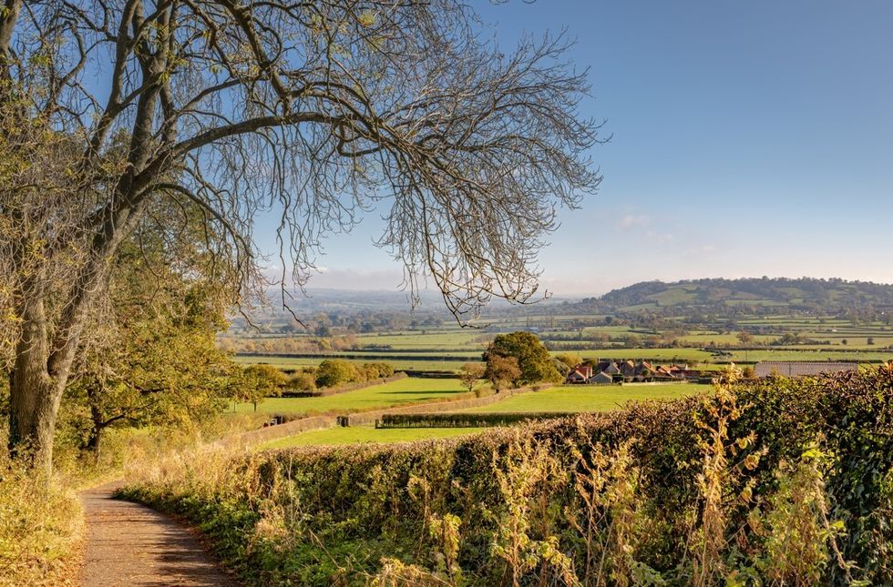 Somerset