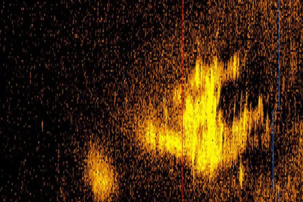 Sonar image of \u200b'Amelia Earhart's plane'