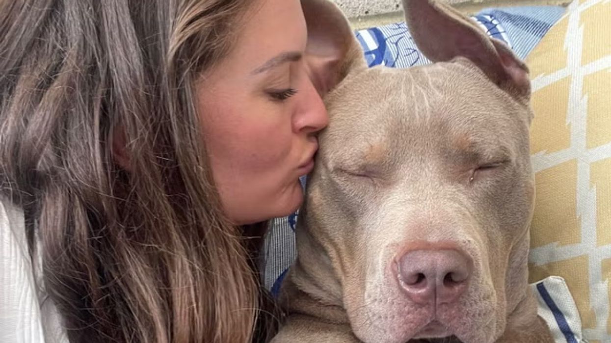 Sophie Coulthard with her XL bully