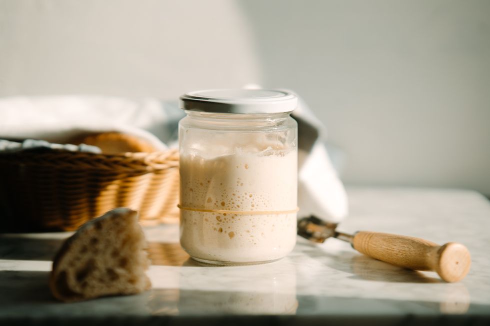 Sourdough starter