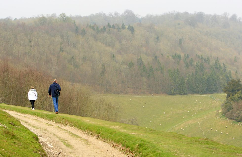 South Downs National Park