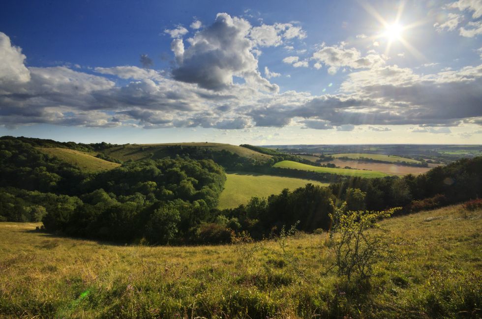 South Downs National Park