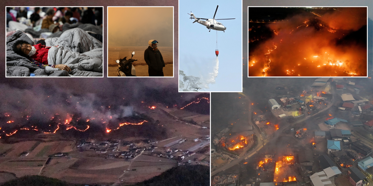 NextImg:At least 23 people killed as 'worst ever' wildfires hit South Korea causing 'unprecedented damage'