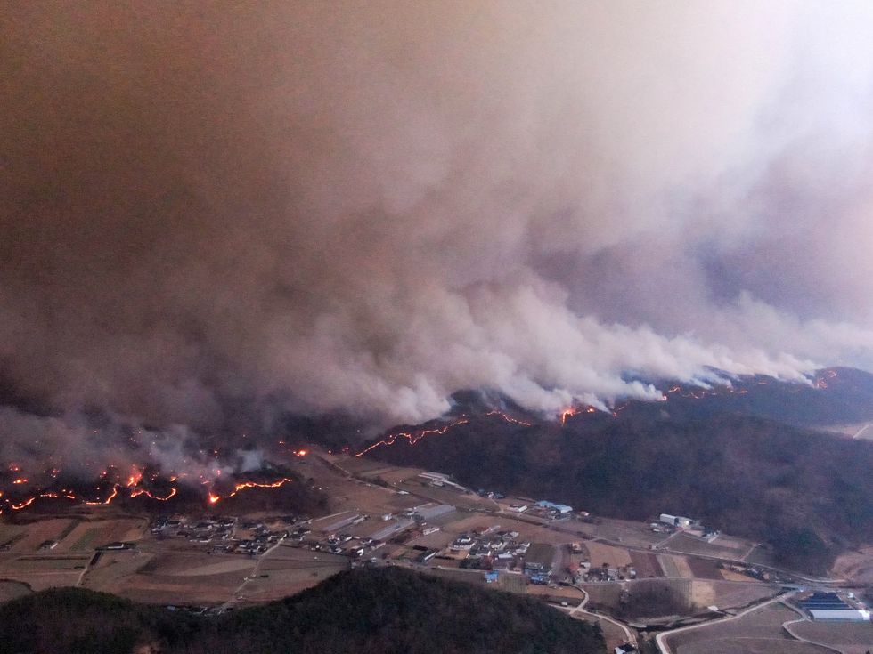 South Korea wildfires