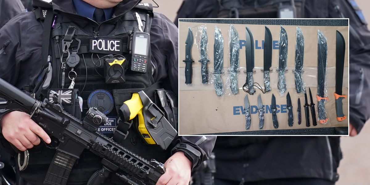 NextImg:Man carrying EIGHTEEN deadly knives bound for violent London gangs arrested by Met