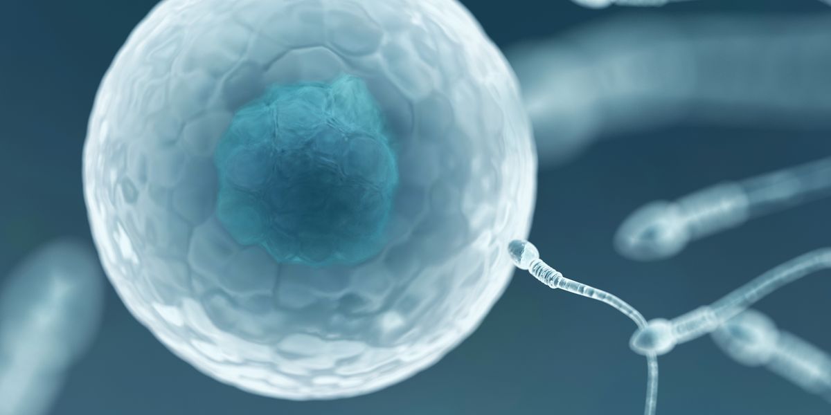 NextImg:Microplastics discovered in human sperm and eggs for first time