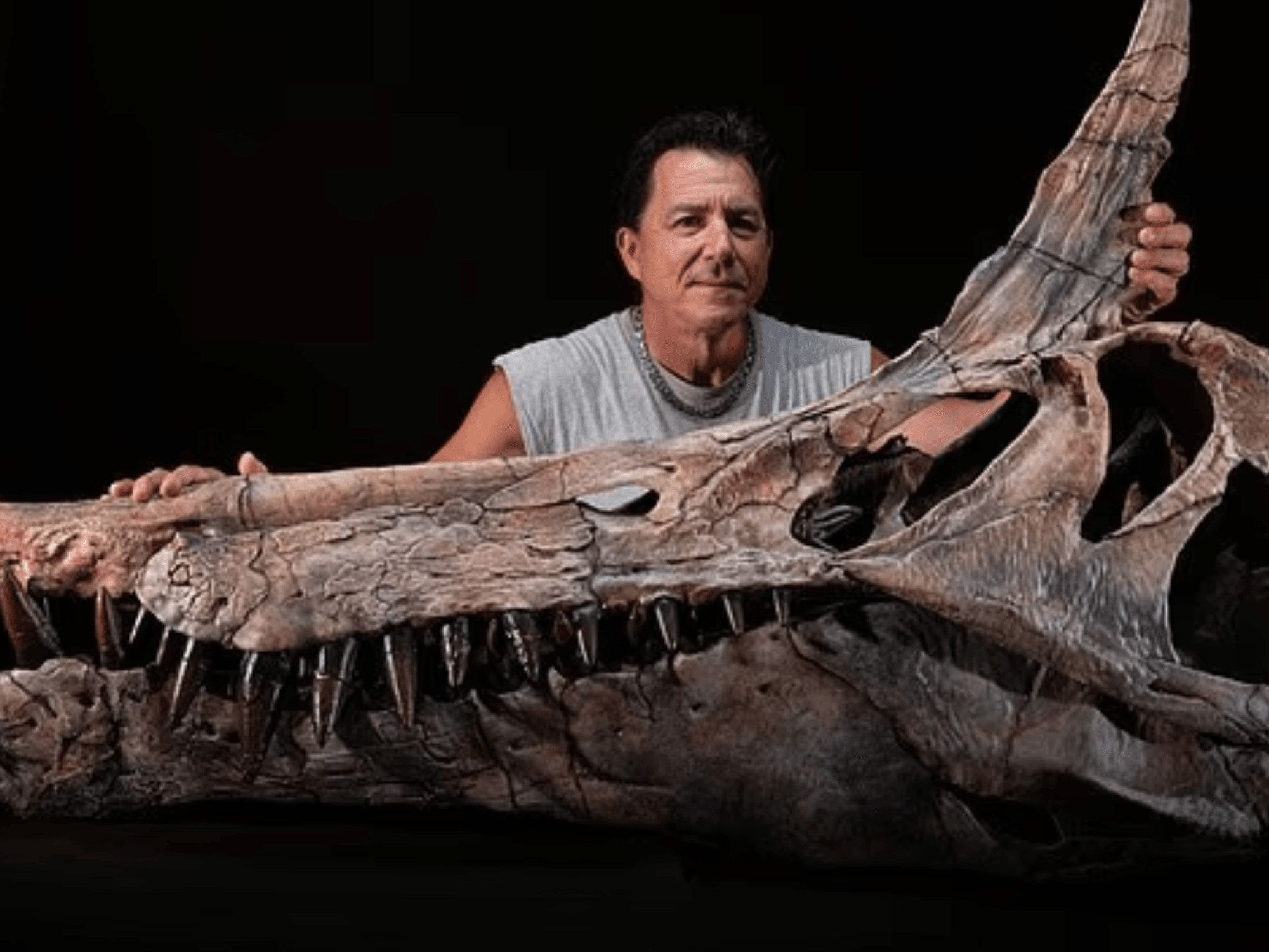 Spinosaurus mirabilis skull