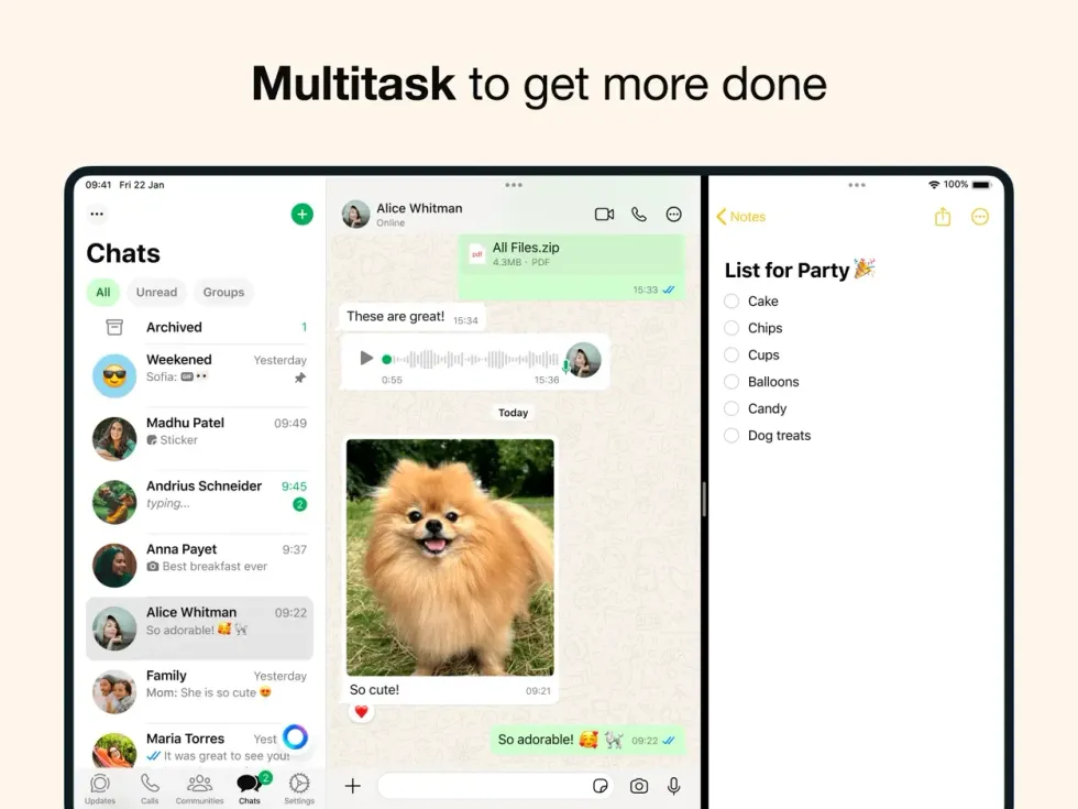split view on whatsapp on ipad