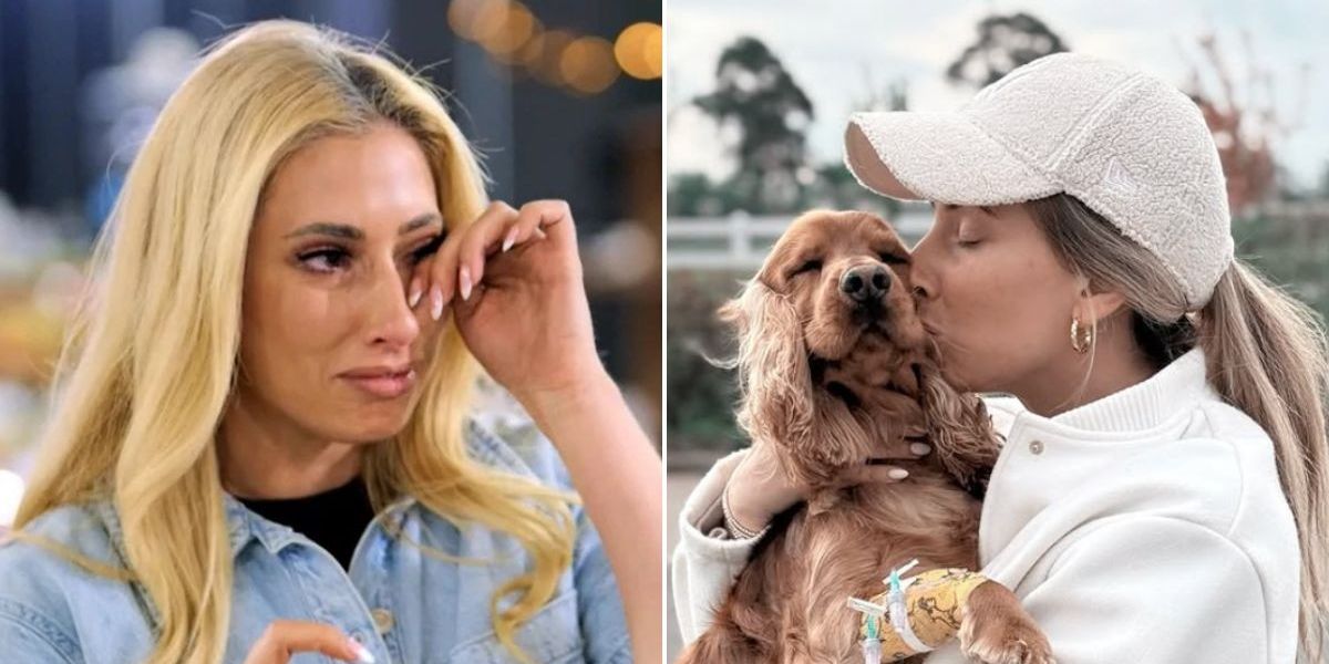 NextImg:Stacey Solomon shares ‘truly devastating’ family update: ‘Might not ever fully recover’