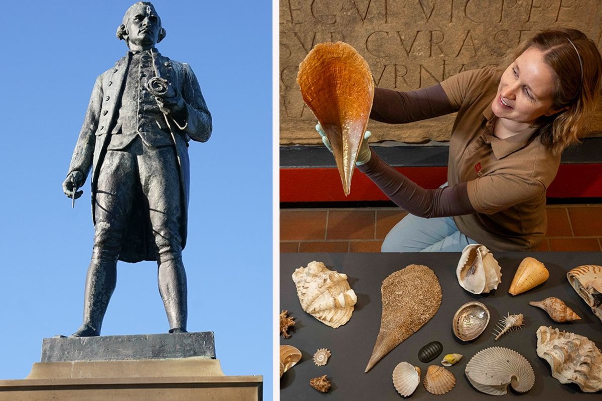 Statue of Captain James Cook (left) and his shell collection from third voyage (right)