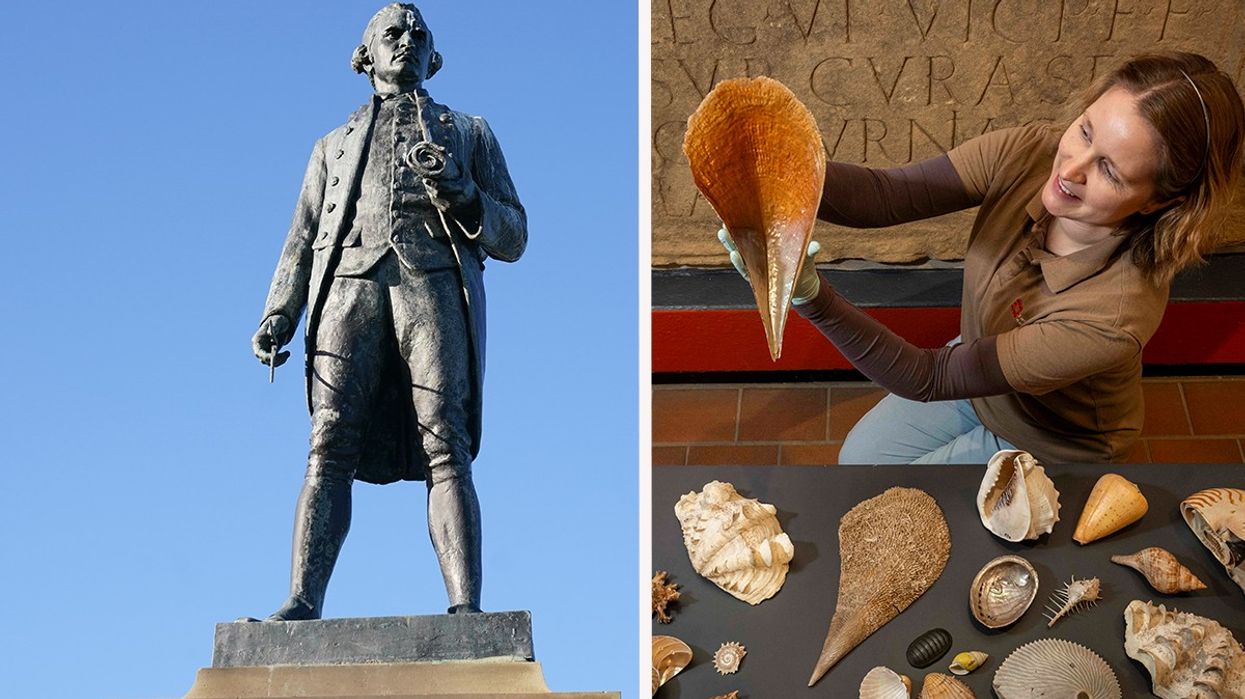Statue of Captain James Cook (left) and his shell collection from third voyage (right)