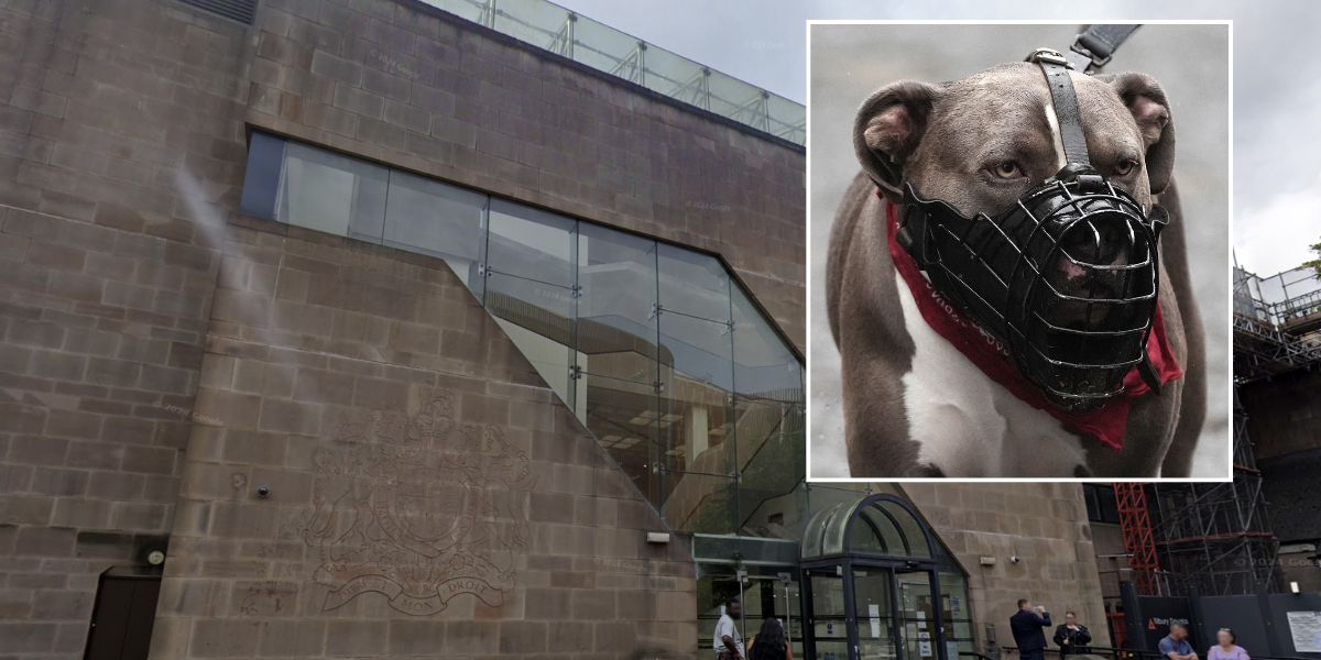 NextImg:XL Bully dog tears barber's hand during vicious attack on high street