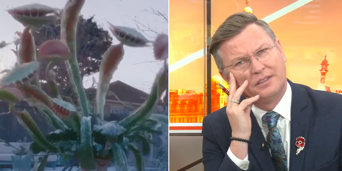 NextImg:John Lewis Christmas ad in FULL: Stephen Dixon and Isabel left ‘confused’ over Christmas fly-trap