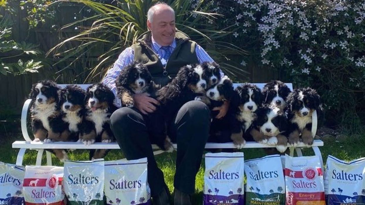 Stephen Salter with 11 puppies and bags of Salters dog food