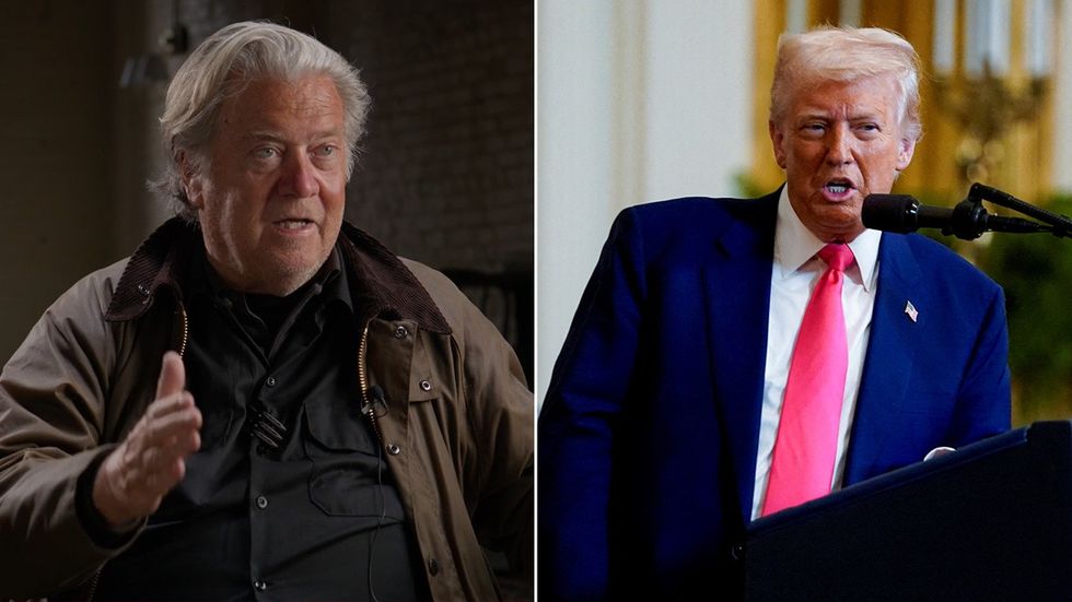 Steve Bannon, Donald Trump