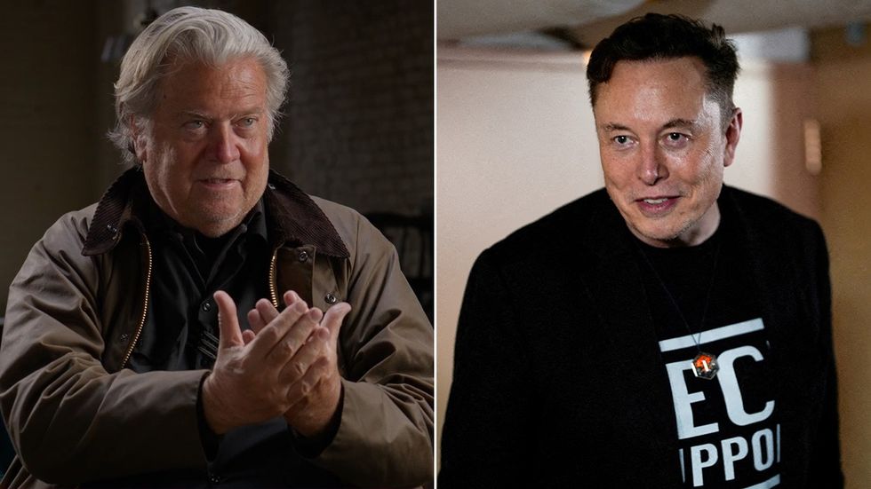 Steve Bannon, Elon Musk