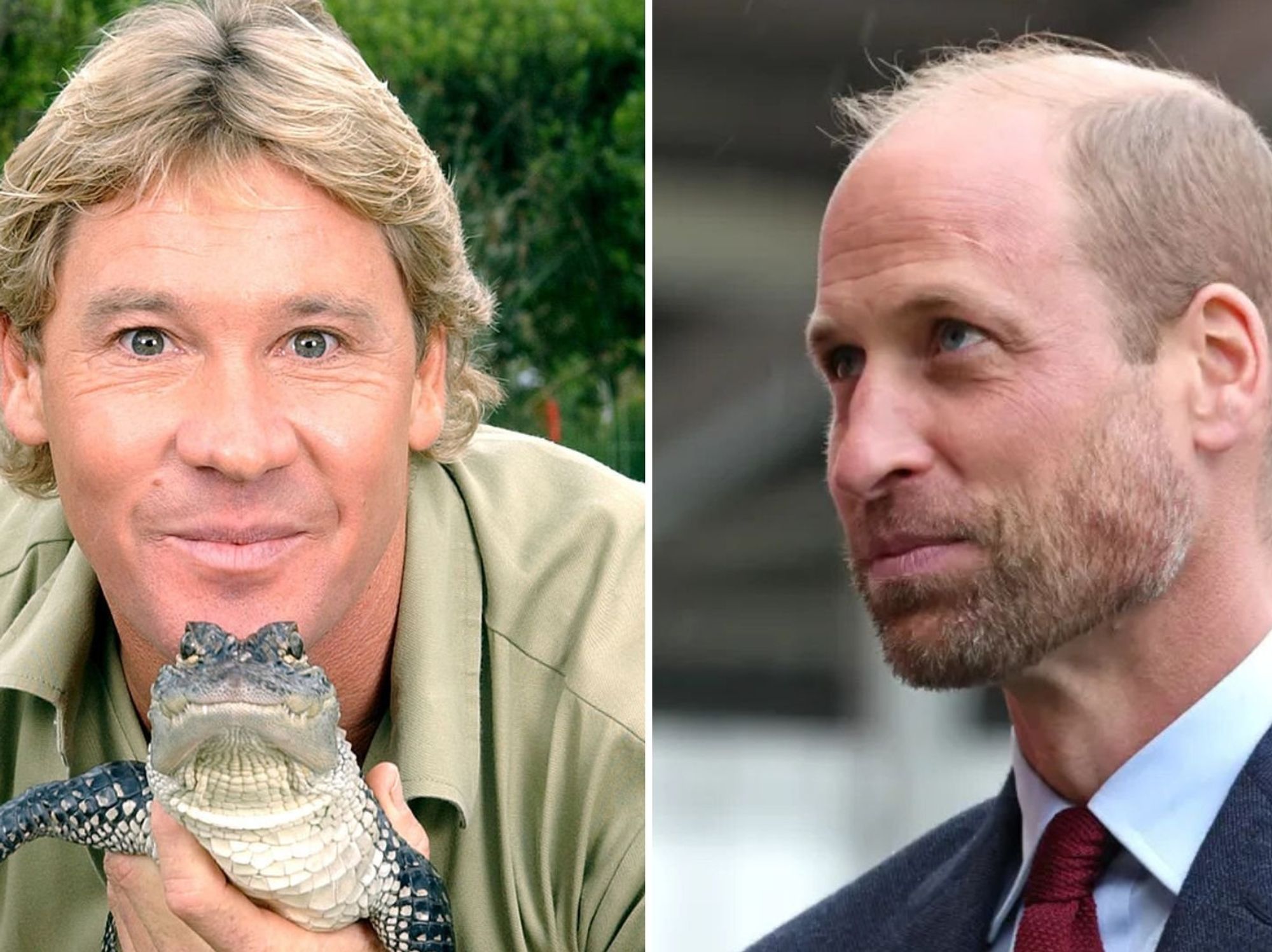 Steve Irwin, Prince William
