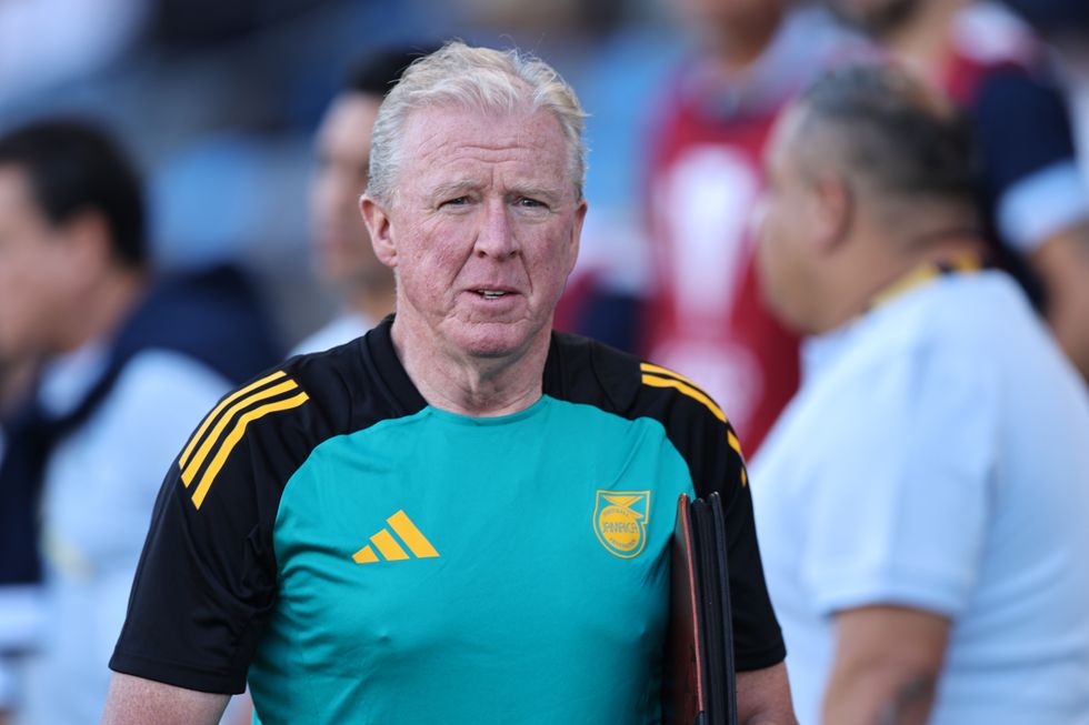 Steve McLaren