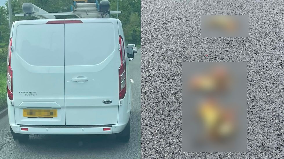 Police investigate claims van driver ran over ducklings crossing road