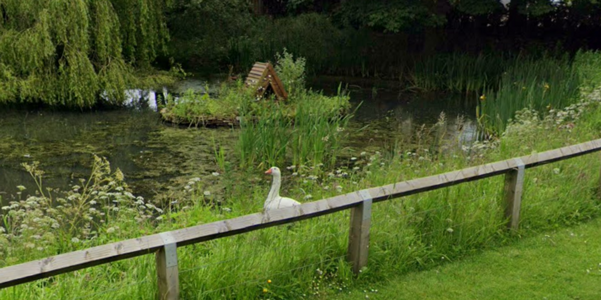 NextImg:Yorkshire village left 'completely and utterly divided' over plans to forecably remove geese from pond