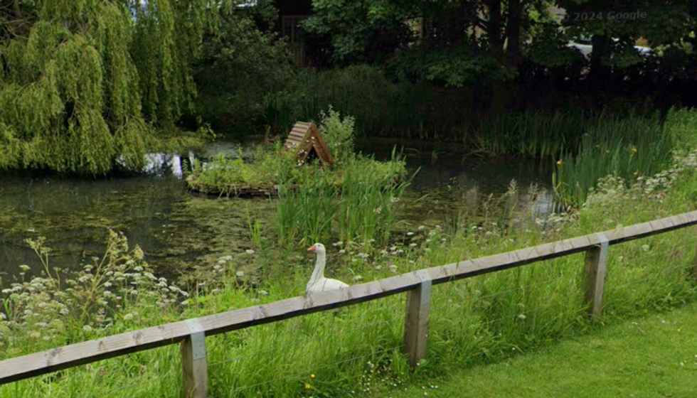 Stillington pond