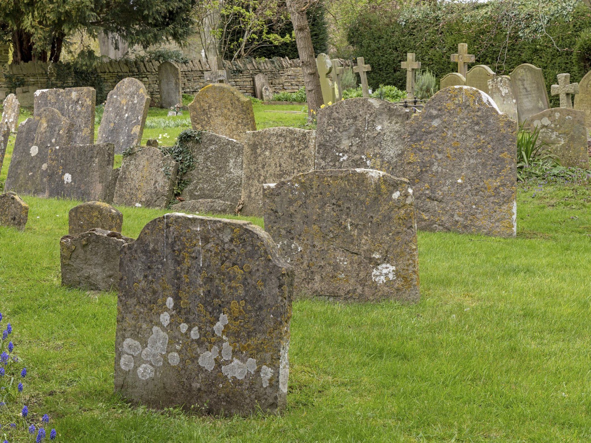 Stock image of a graveyard