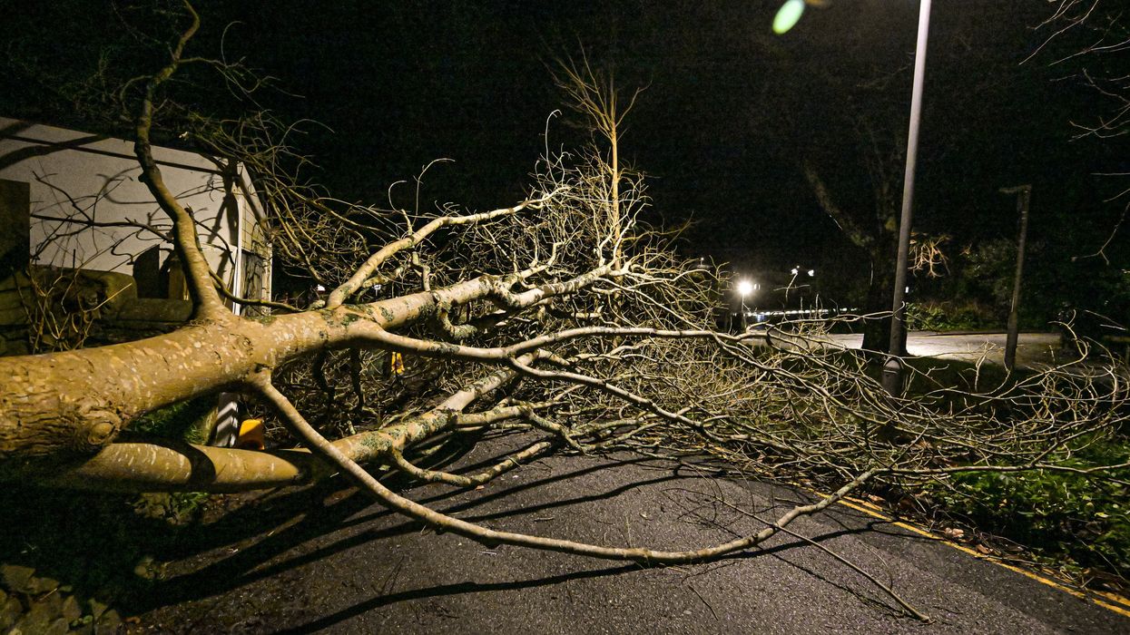 Man dies after tree falls on caravan as 99mph Storm Goretti winds battered Britain
