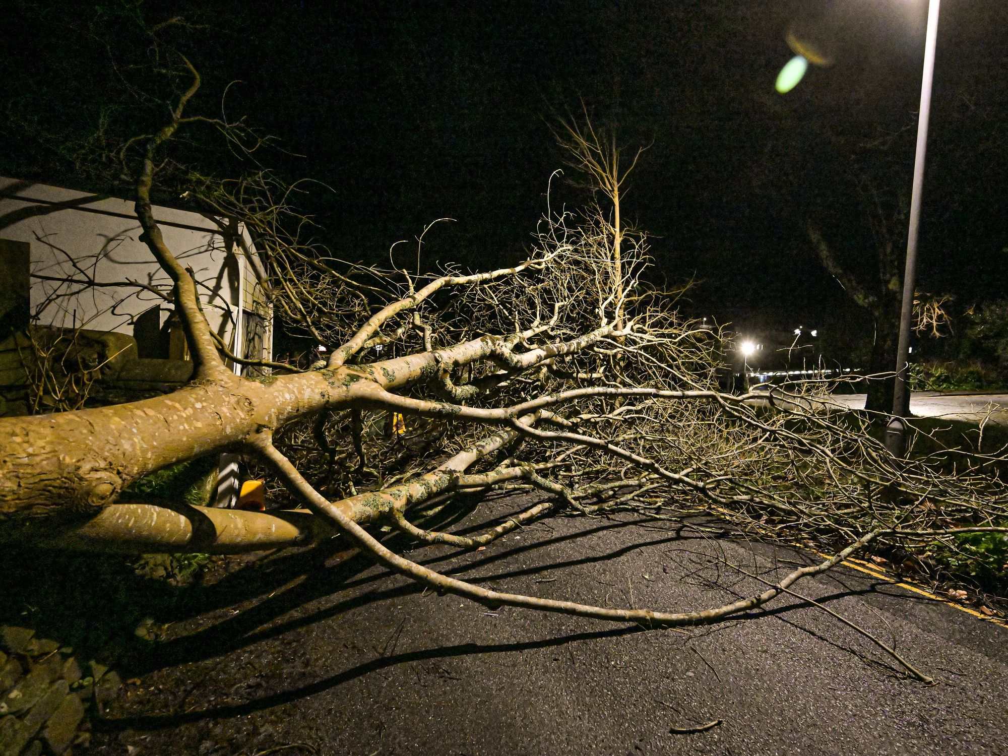 Man dies after tree falls on caravan as 99mph Storm Goretti winds battered Britain