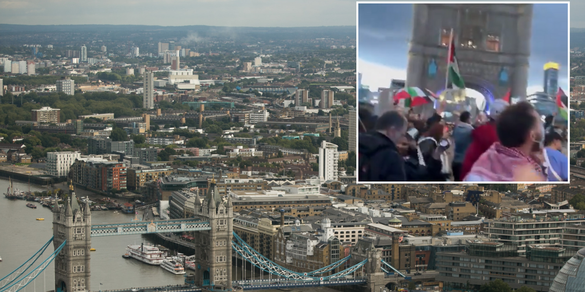 NextImg:Pro-Palestine protesters let off flares and shut down Tower Bridge as officers rush to scene