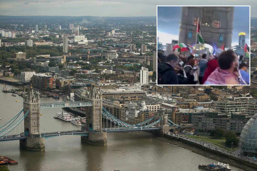 Pro-Palestine protesters let off flares and shut down Tower Bridge as officers rush to scene