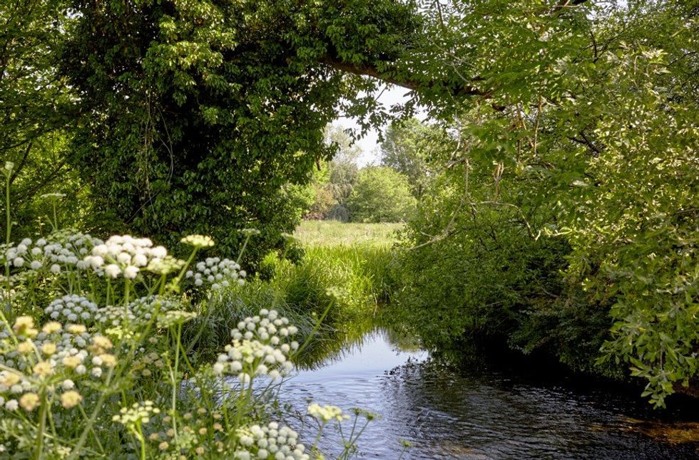Stockbridge Hampshire