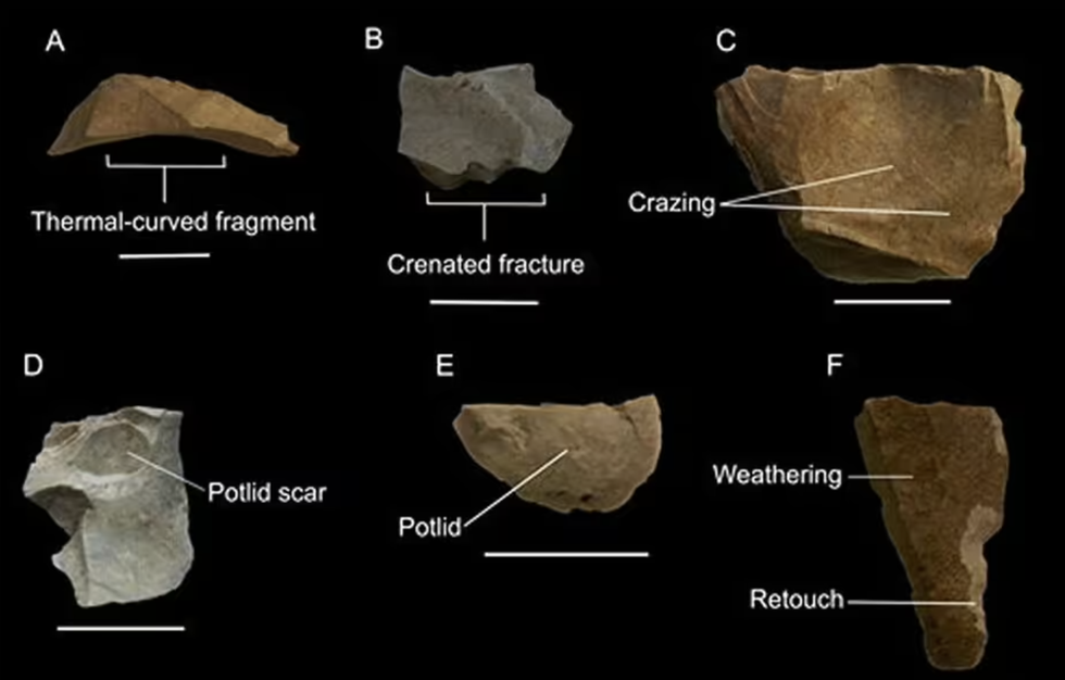 Stone tools