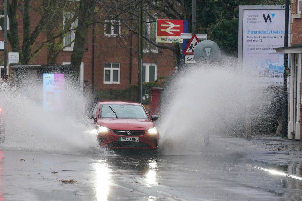 Storm Bert
