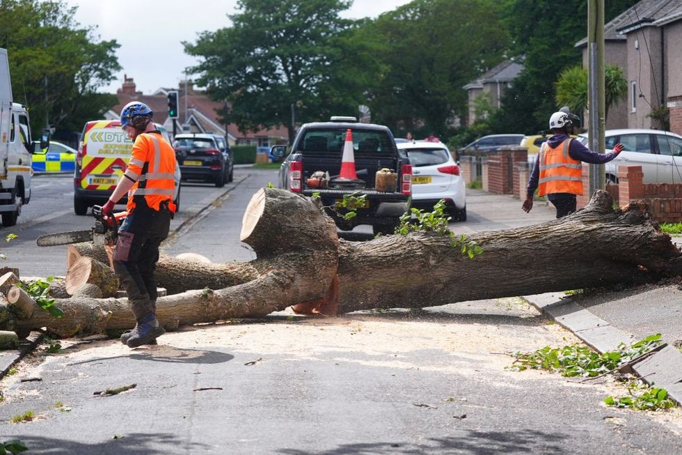 Storm Floris led to trees falling