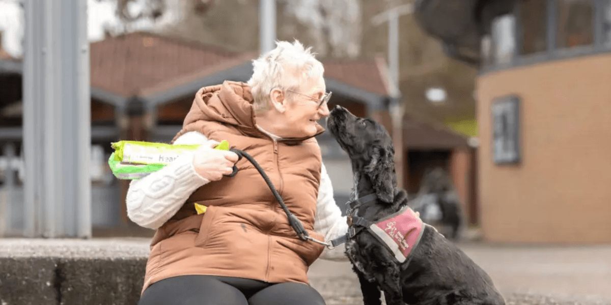 Hero dog praised after helping deaf owner who fell on black ice Hero dog praised after helping deaf owner who fell on black ice