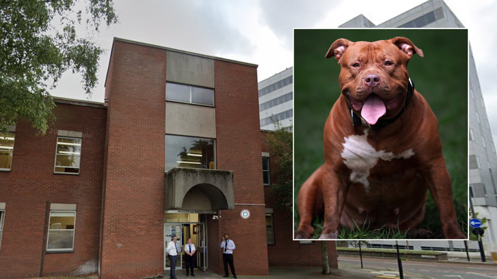 Suffolk Magistrates' Court/XL Bully