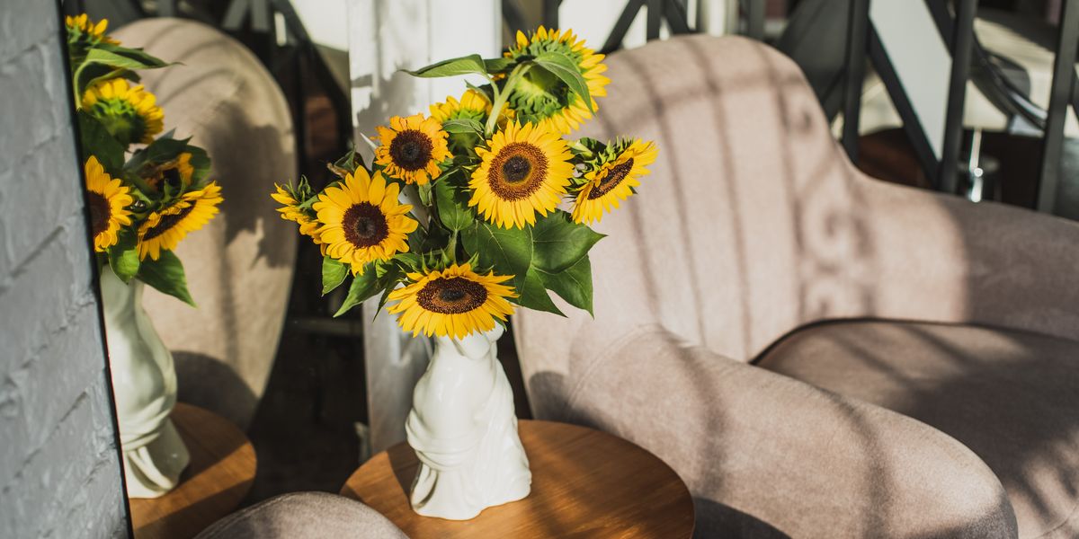 Expert shares 5 hacks to make your blooms go the distance Expert shares 5 hacks to make your blooms go the distance