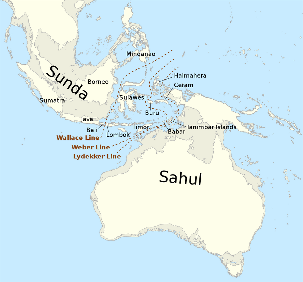 Supercontinent of Sahul