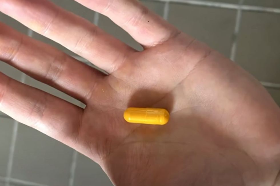 SUPPLEMENT IN HAND