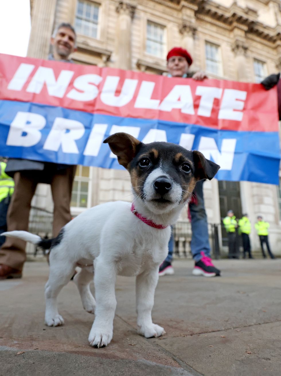 Supporters of Insulate Britain stage a 24 hour fast outside Downing Street, London