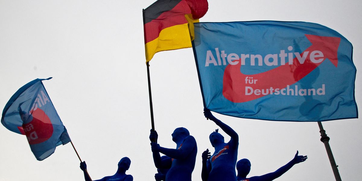 NextImg:Germany's AfD classified as 'right-wing extremist' group by intel agency